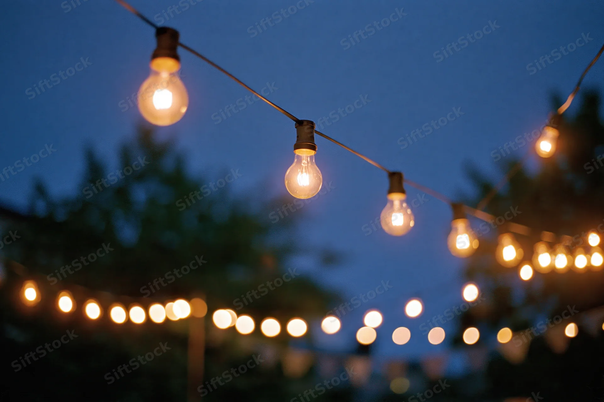 String lights with warm edison bulbs hanging across a garden at twilight