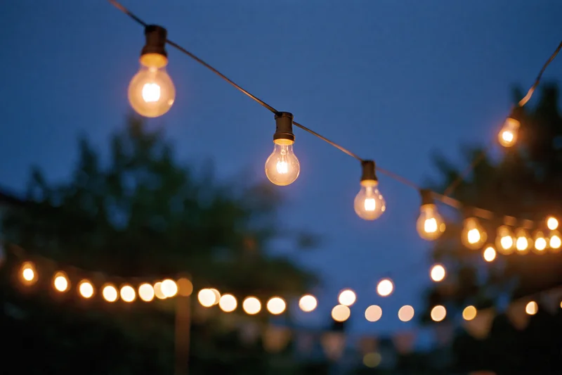 String lights with warm edison bulbs hanging across a garden at twilight