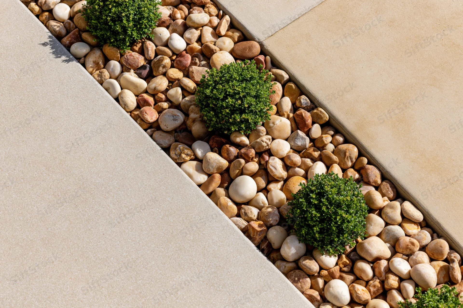Overhead view of a low-maintenance garden bed with boxwood shrubs planted in pebbles along a concrete pathway