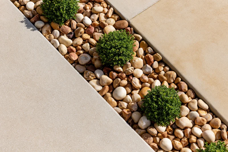 Overhead view of a low-maintenance garden bed with boxwood shrubs planted in pebbles along a concrete pathway