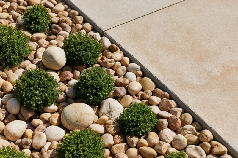 Low-maintenance garden bed with boxwood shrubs and smooth pebbles along a concrete patio border