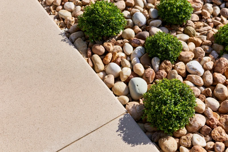 Low-maintenance garden bed with boxwood shrubs arranged in pebbles beside a concrete pathway