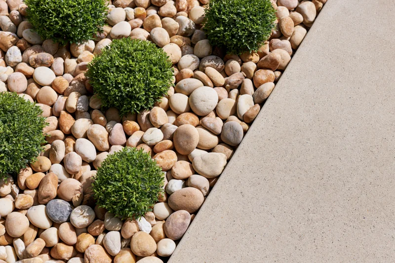 Overhead view of a low-maintenance garden bed with boxwood shrubs and pebbles alongside a concrete pathway