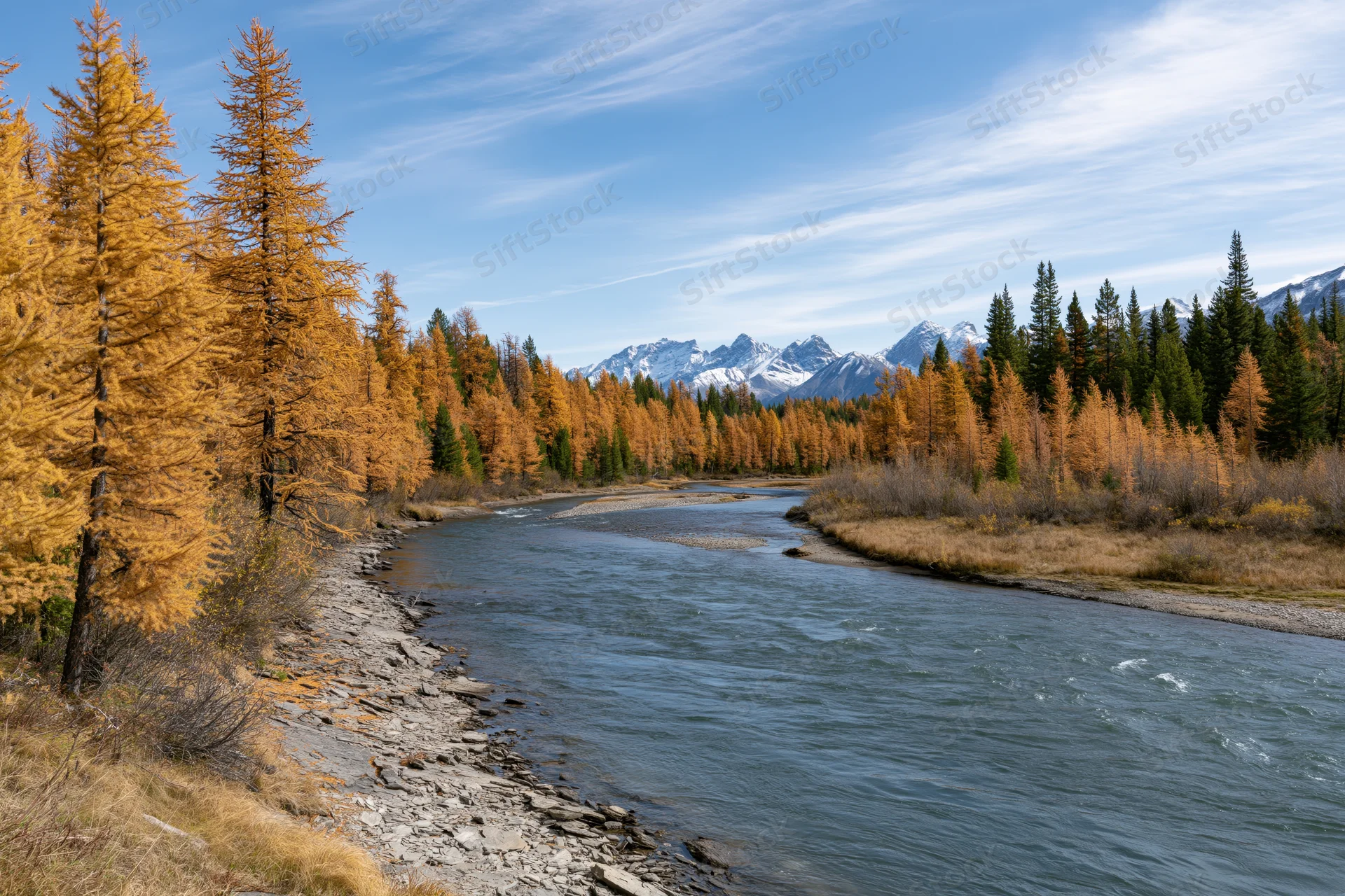River winding through valley flanked by golden larch trees and snow-capped mountains
