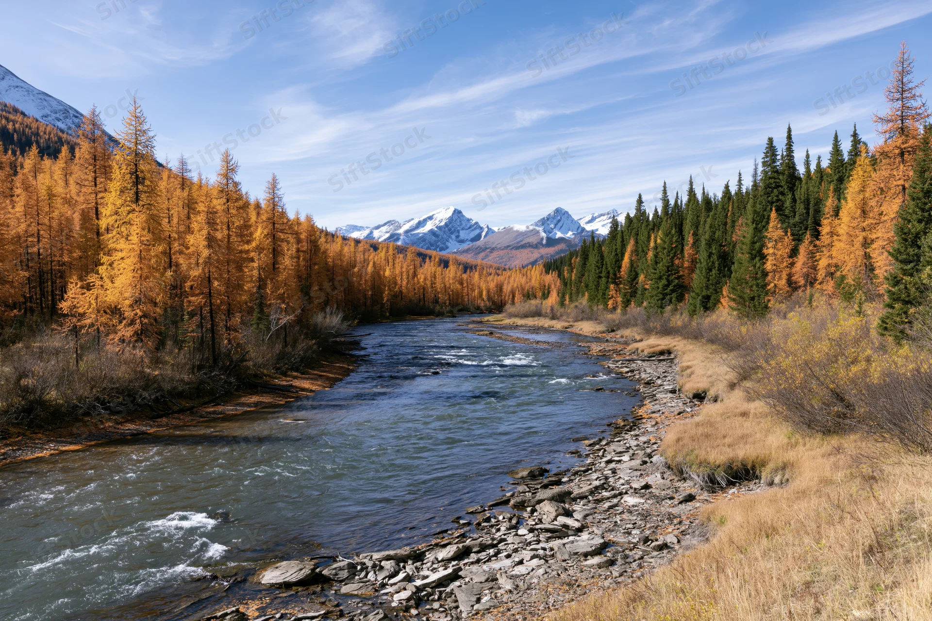 River flowing through valley flanked by autumn larch and pine forests with snow-capped mountains in background