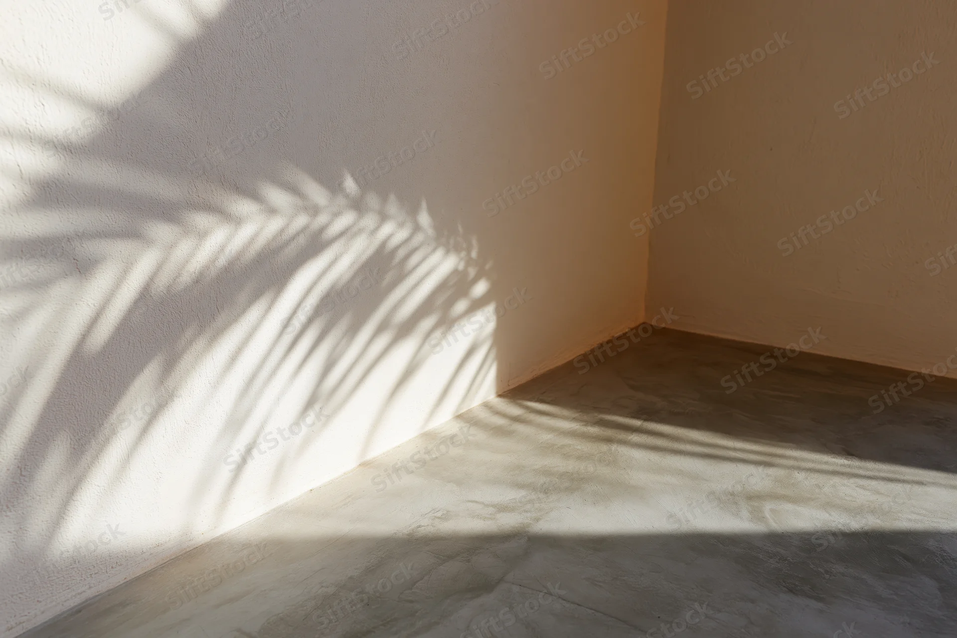 Shadow of a palm leaf branch cast across a plain matte wall and concrete floor in an empty interior corner