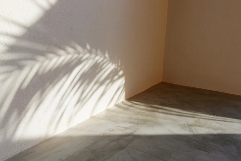 Shadow of a palm leaf branch cast across a plain matte wall and concrete floor in an empty interior corner