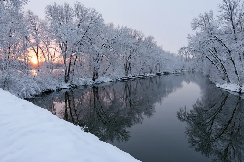 Snow-covered bare trees lining a calm river reflecting sunset sky in winter landscape
