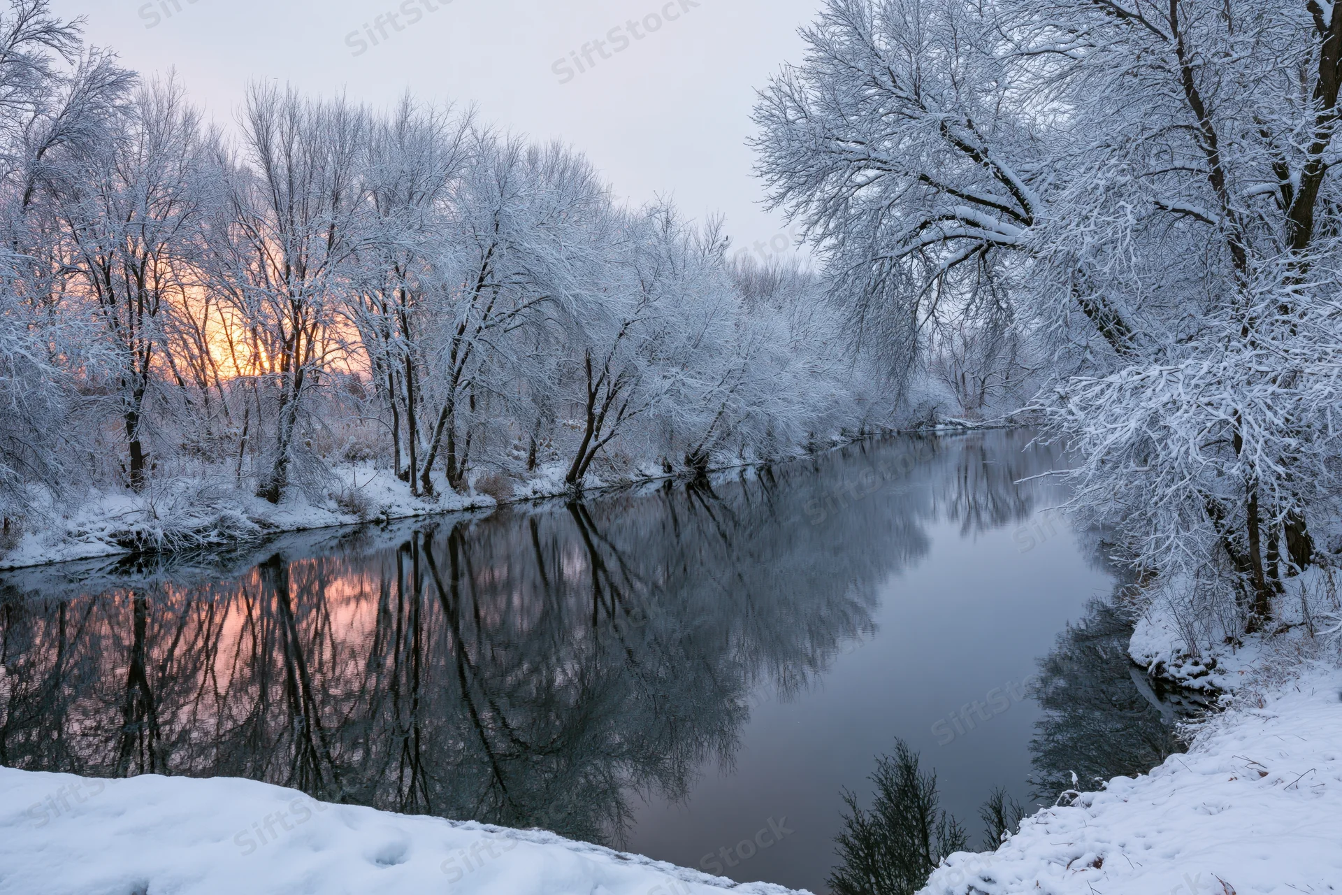 Snow-covered bare trees lining a calm river reflecting twilight sky in winter landscape