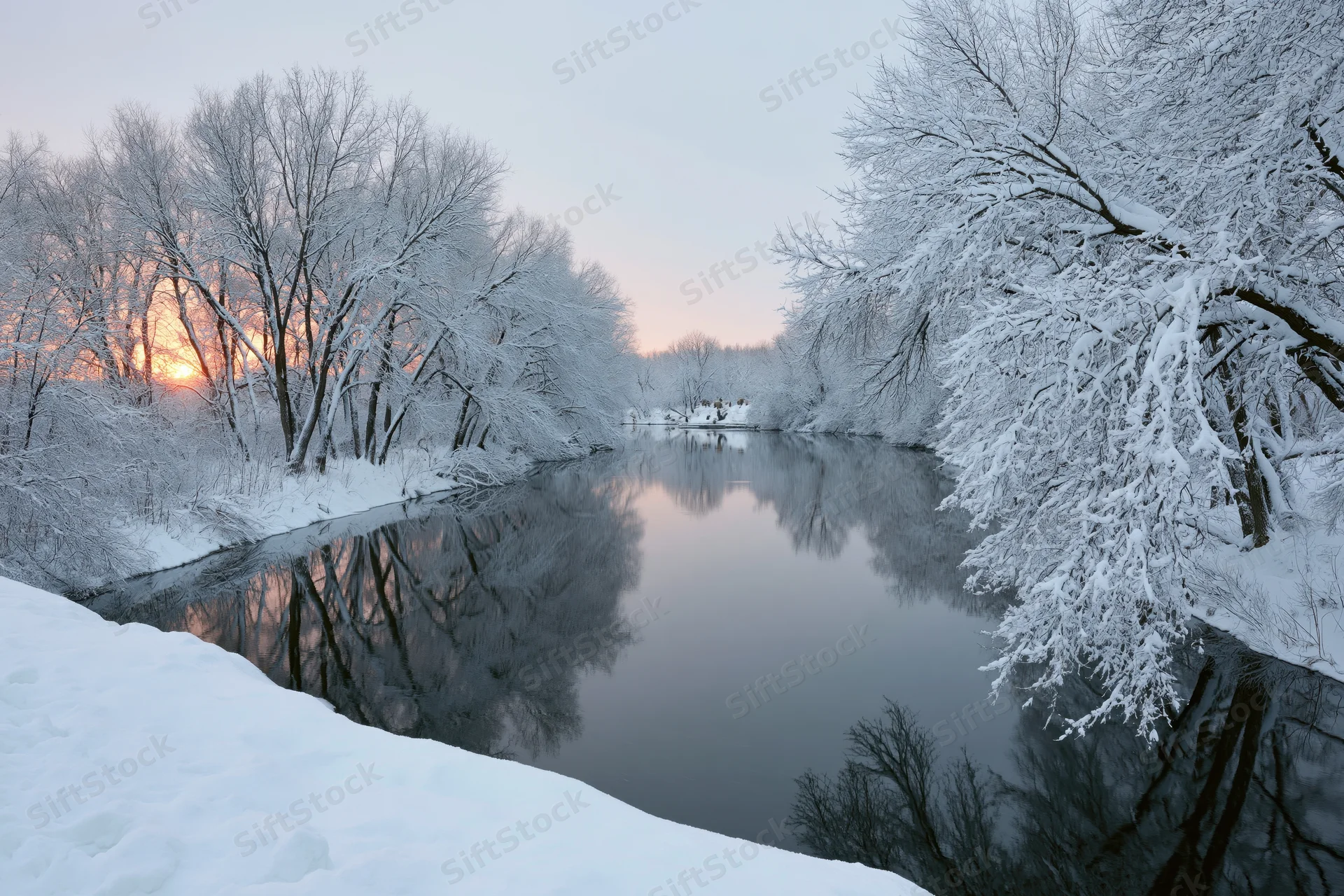 Snow-covered bare trees lining a calm river at sunset in winter