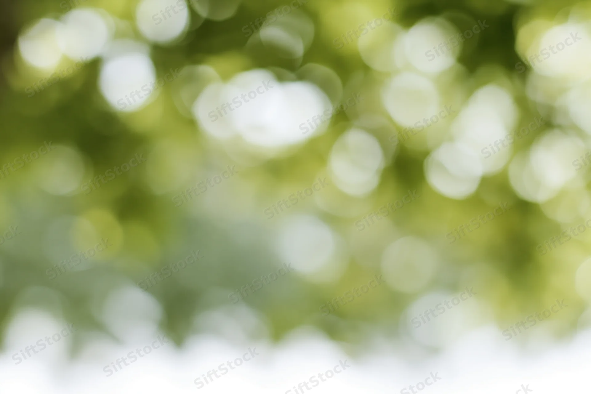 Soft bokeh of out-of-focus green foliage with dappled sunlight creating a natural background