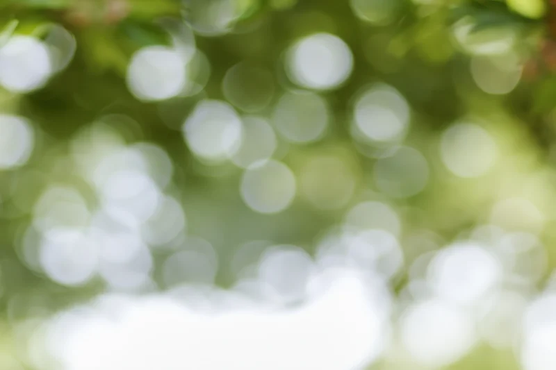 Soft bokeh of out-of-focus green foliage with dappled sunlight filtering through leaves in a natural outdoor setting