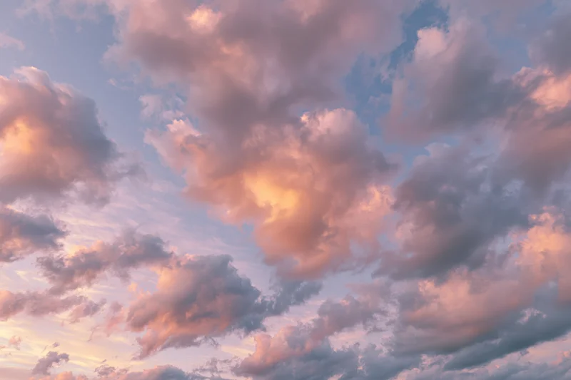 Soft cumulus clouds filling the sky at sunset viewed from below