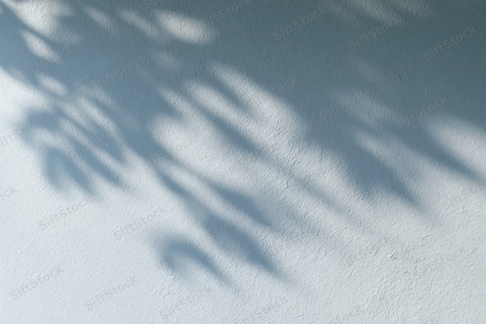Dappled leaf shadows cast across a white-grey textured wall