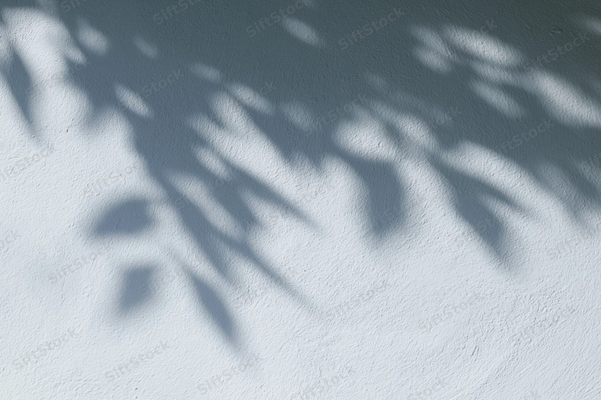 Dappled leaf shadows cast across a white-gray textured wall outdoors