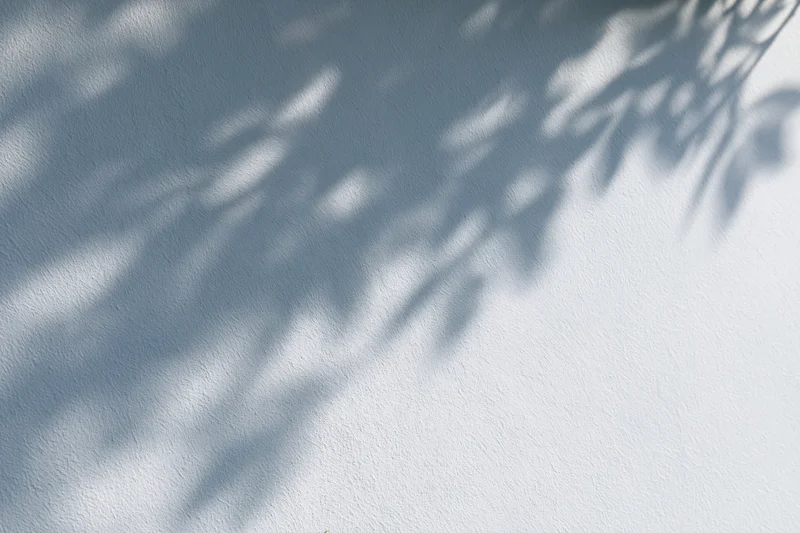 Dappled leaf shadows cast across a plain white-grey textured wall