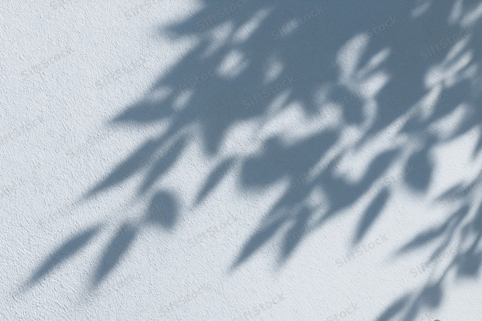 Dappled leaf shadows cast across a white-grey textured wall