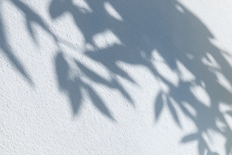 Dappled leaf shadows cast across a white textured wall