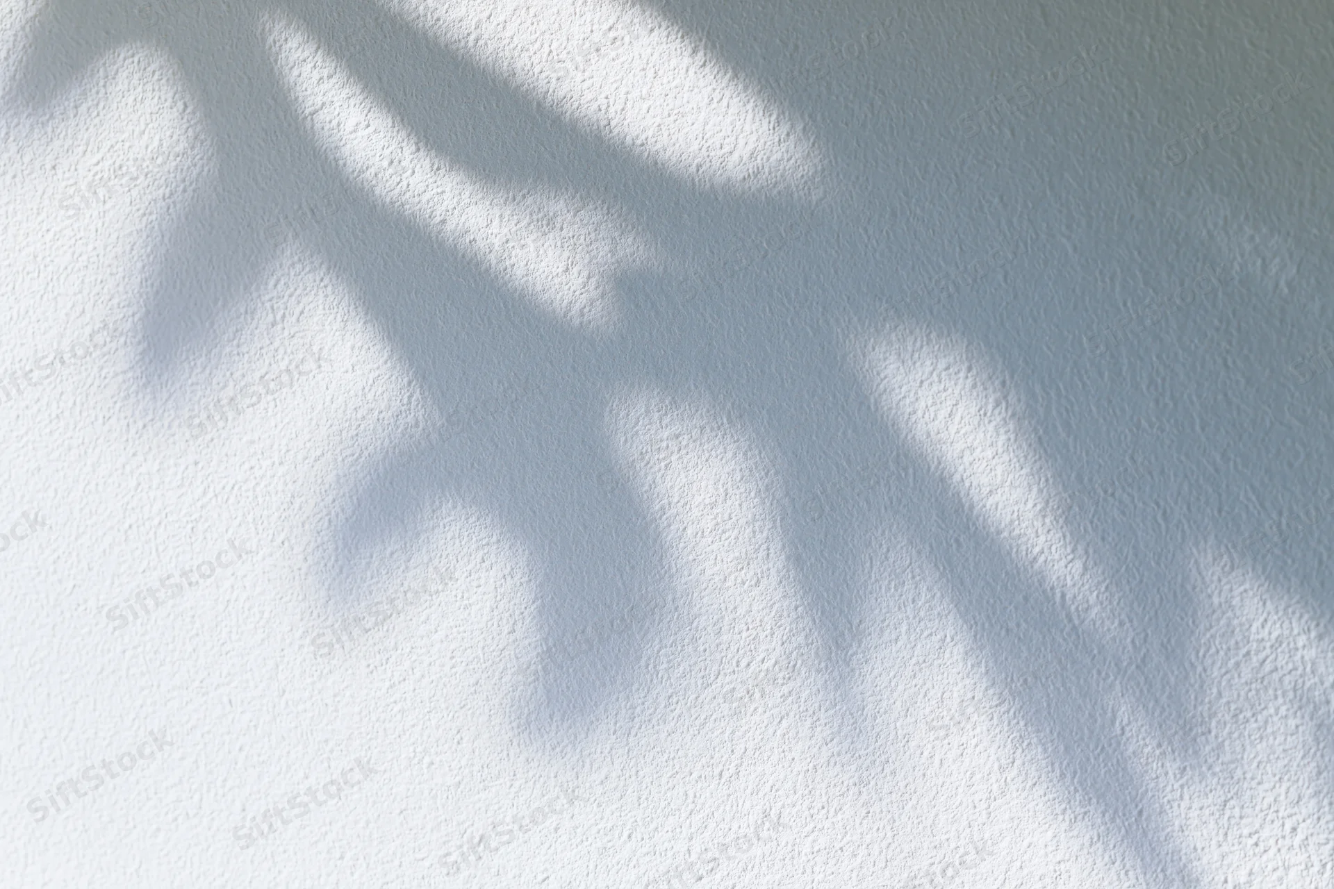 Dappled leaf shadows cast across a white textured wall