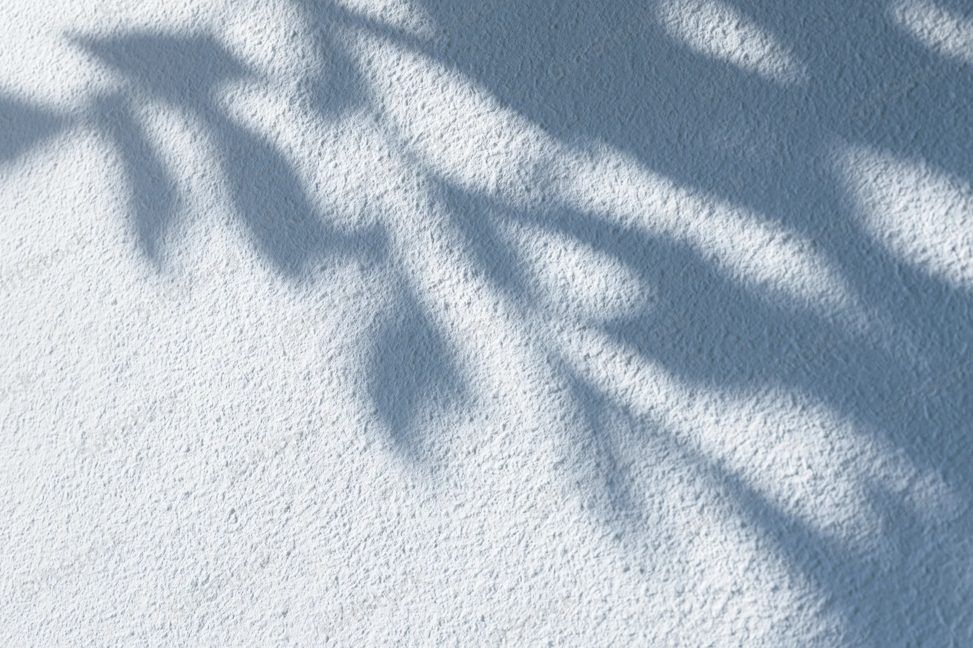 Dappled leaf shadows cast across a white textured wall
