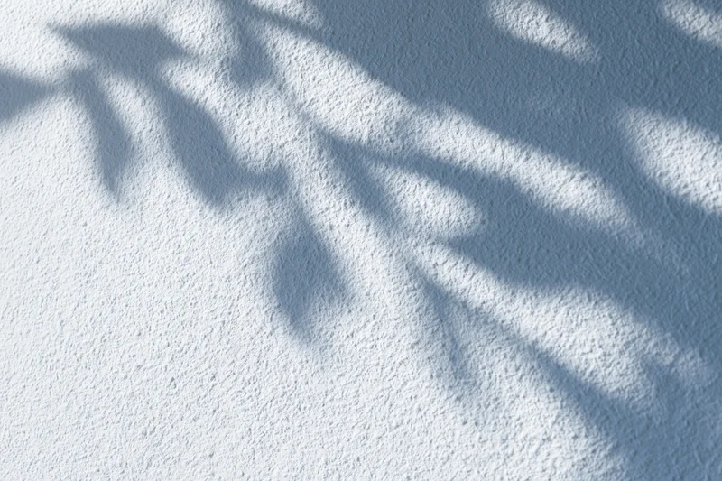 Dappled leaf shadows cast across a white textured wall