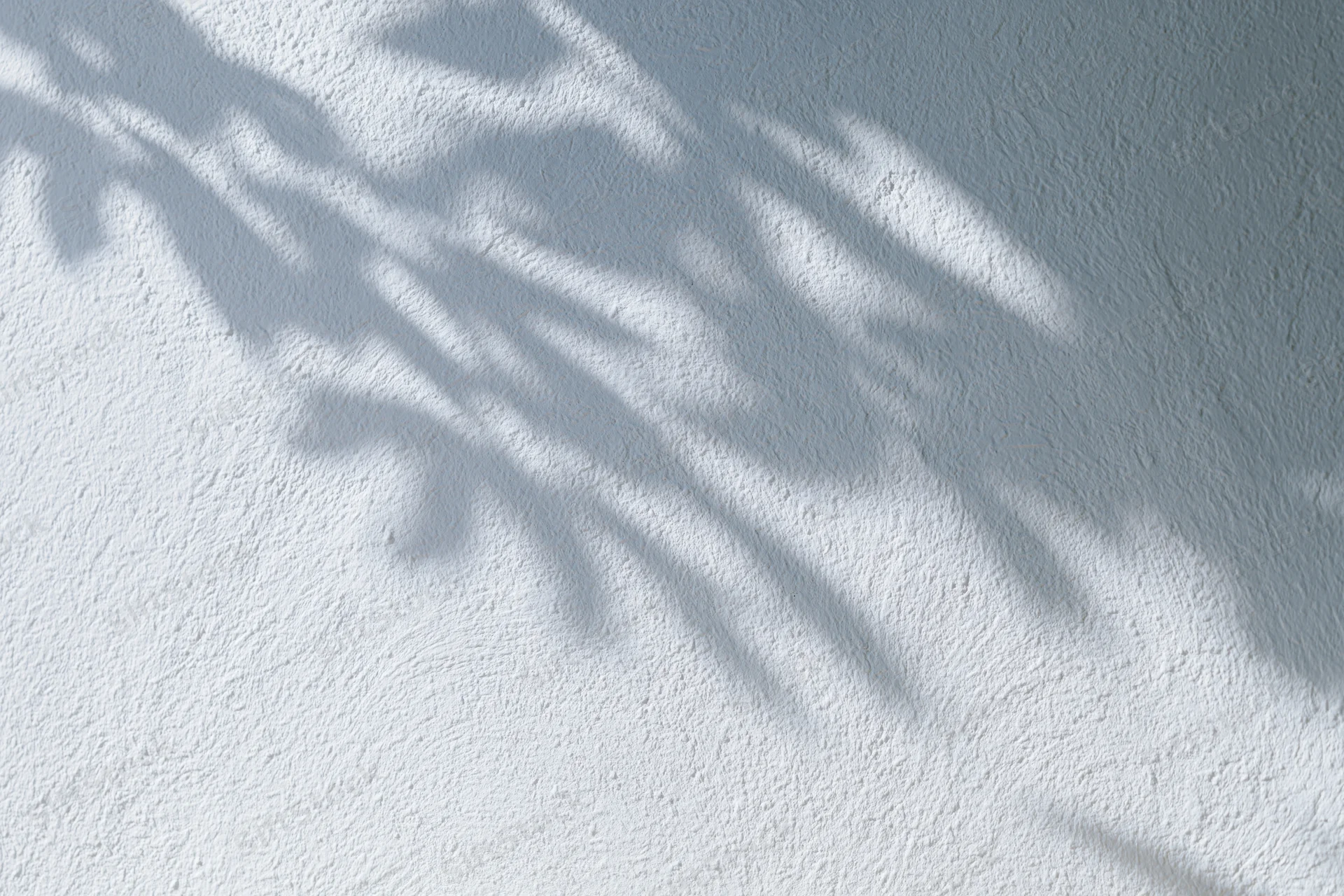Dappled leaf shadows cast across a white textured wall in natural sunlight