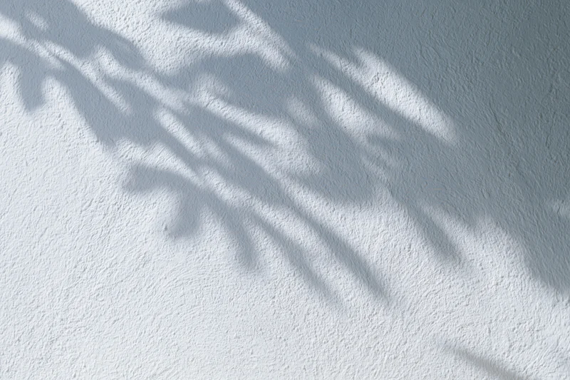 Dappled leaf shadows cast across a white textured wall in natural sunlight