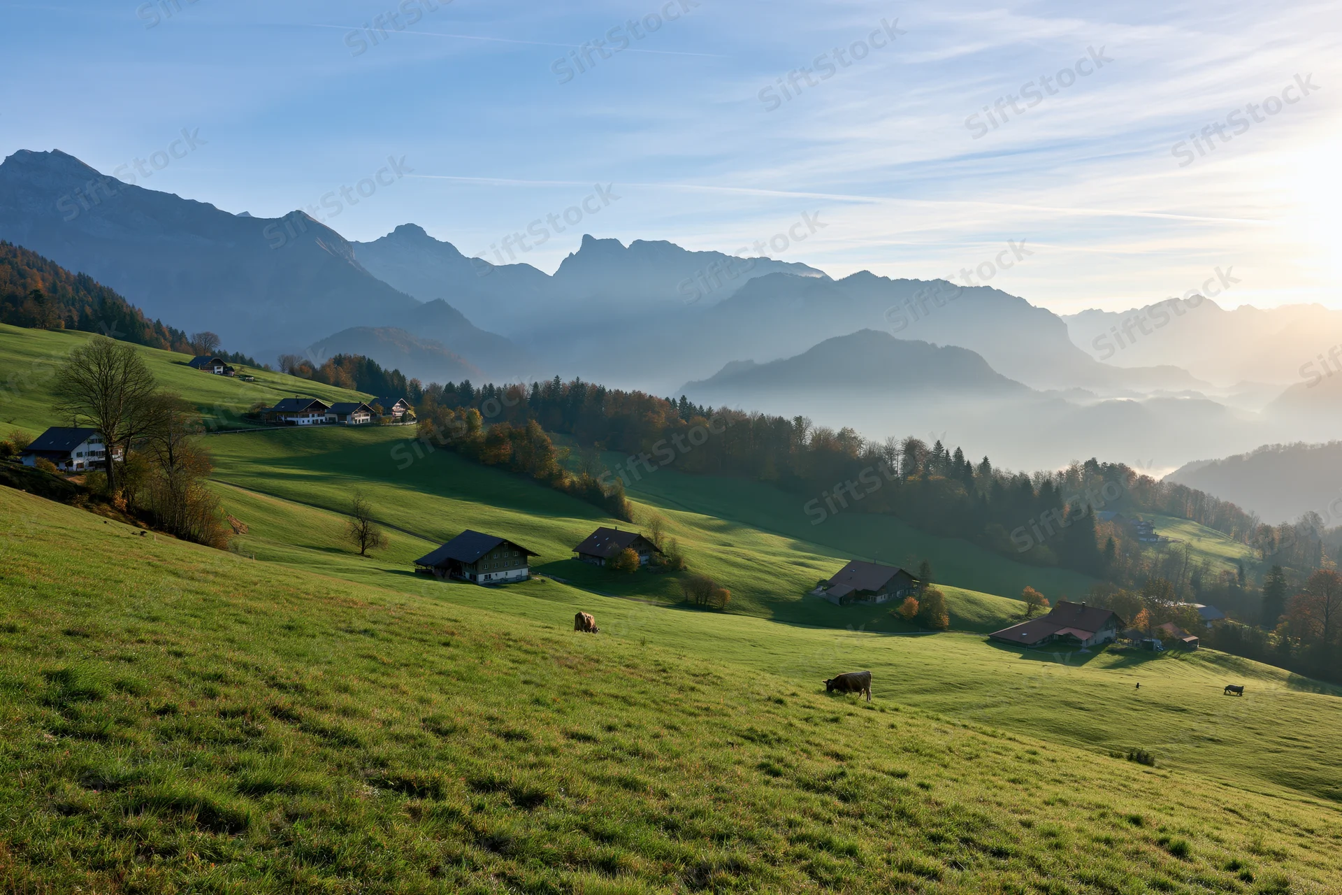 Alpine valley with scattered farmhouses and grazing cows on rolling green hills at sunrise
