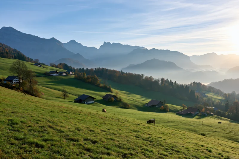 Alpine valley with scattered farmhouses and grazing cows on rolling green hills at sunrise