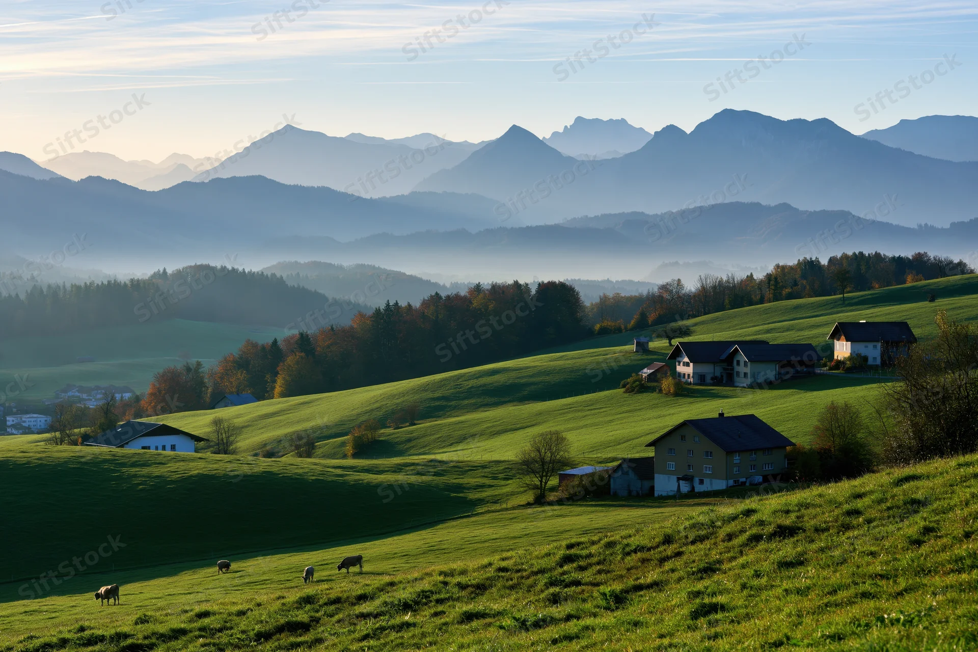Rolling green hills with grazing cows and farmhouses in a mountain valley at sunrise