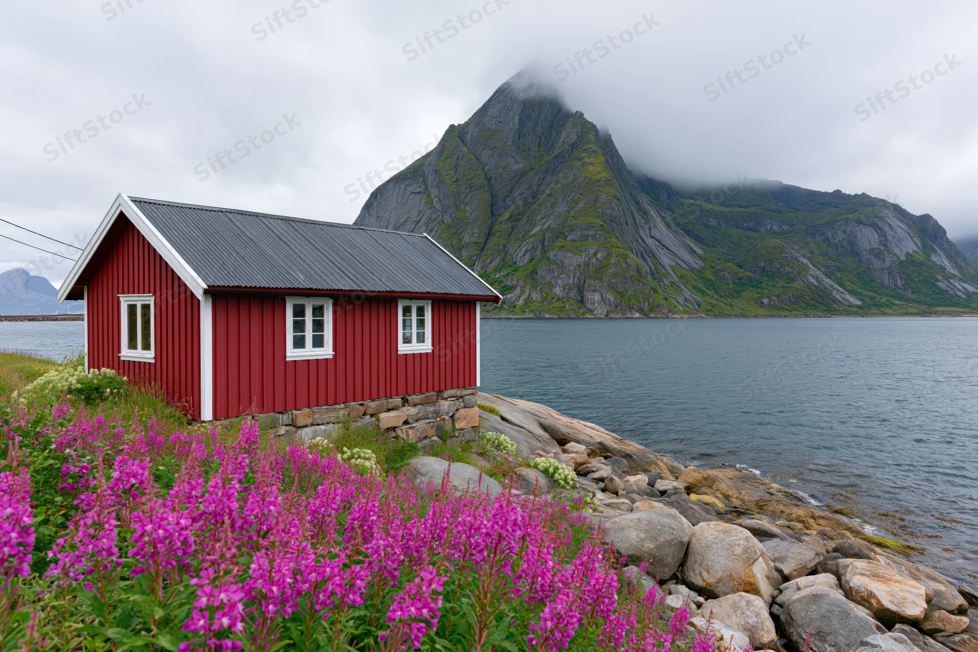 Red wooden rorbu fishing cabin on rocky shore beside fjord with mountain and purple fireweed in foreground