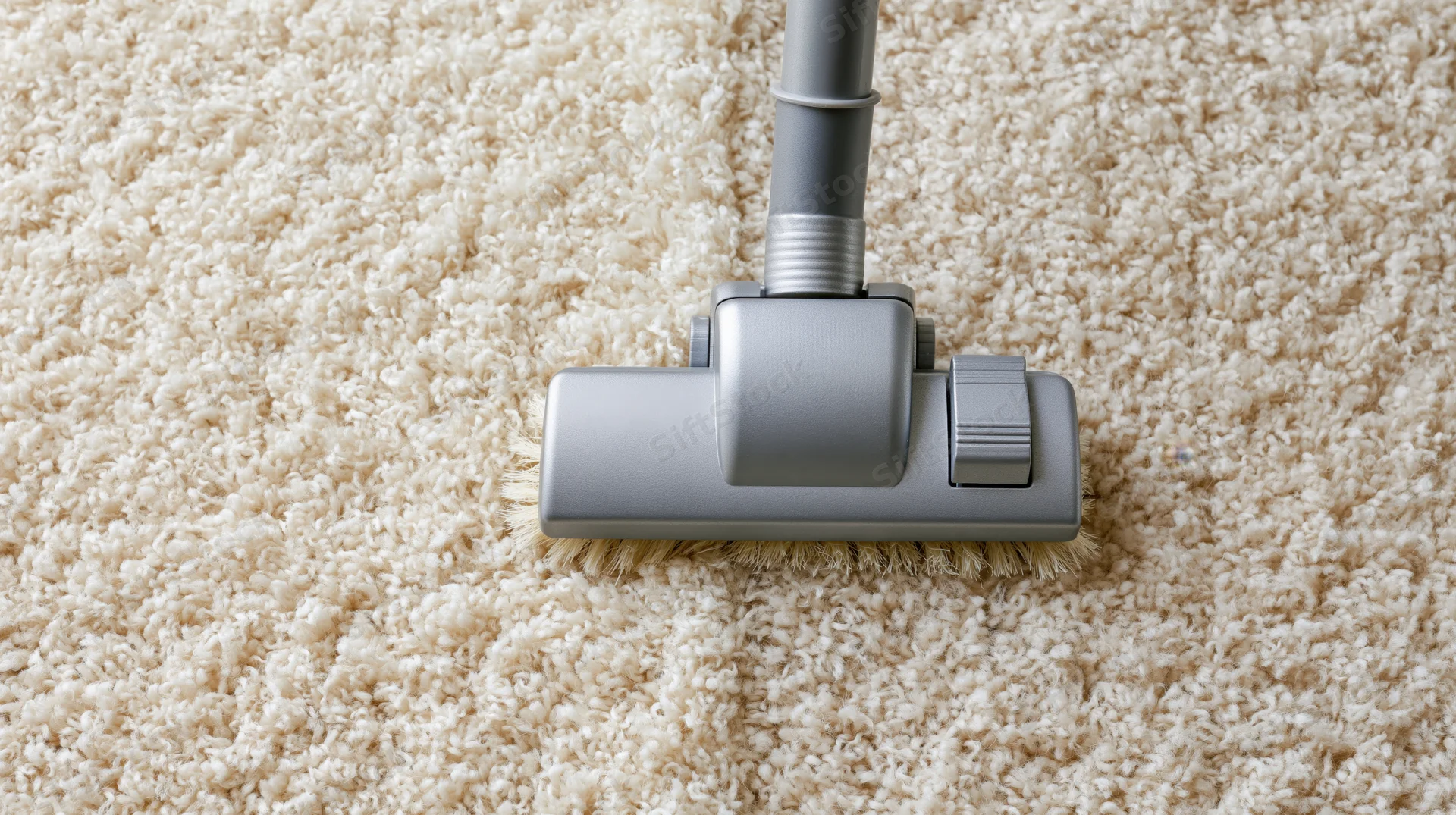 Vacuum cleaner brush head moving across thick cream shag carpet