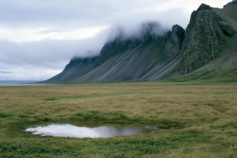 Vast flat grassland stretching toward jagged dark volcanic mountains under cloudy sky with small puddle in foreground
