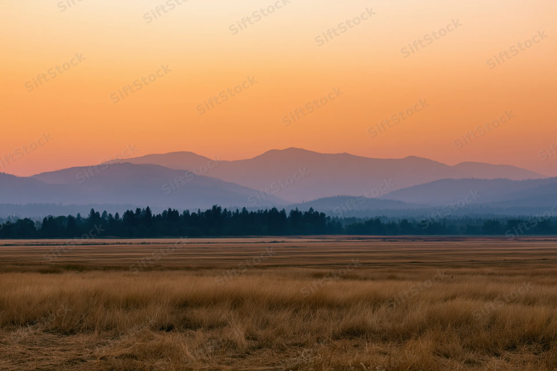Wide view of golden grass fields stretching toward distant mountains under an orange sunset sky