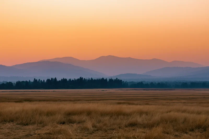 Wide view of golden grass fields stretching toward distant mountains under an orange sunset sky