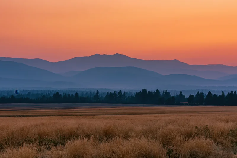 Wide view of golden grass fields stretching toward distant mountains under an orange sunset sky