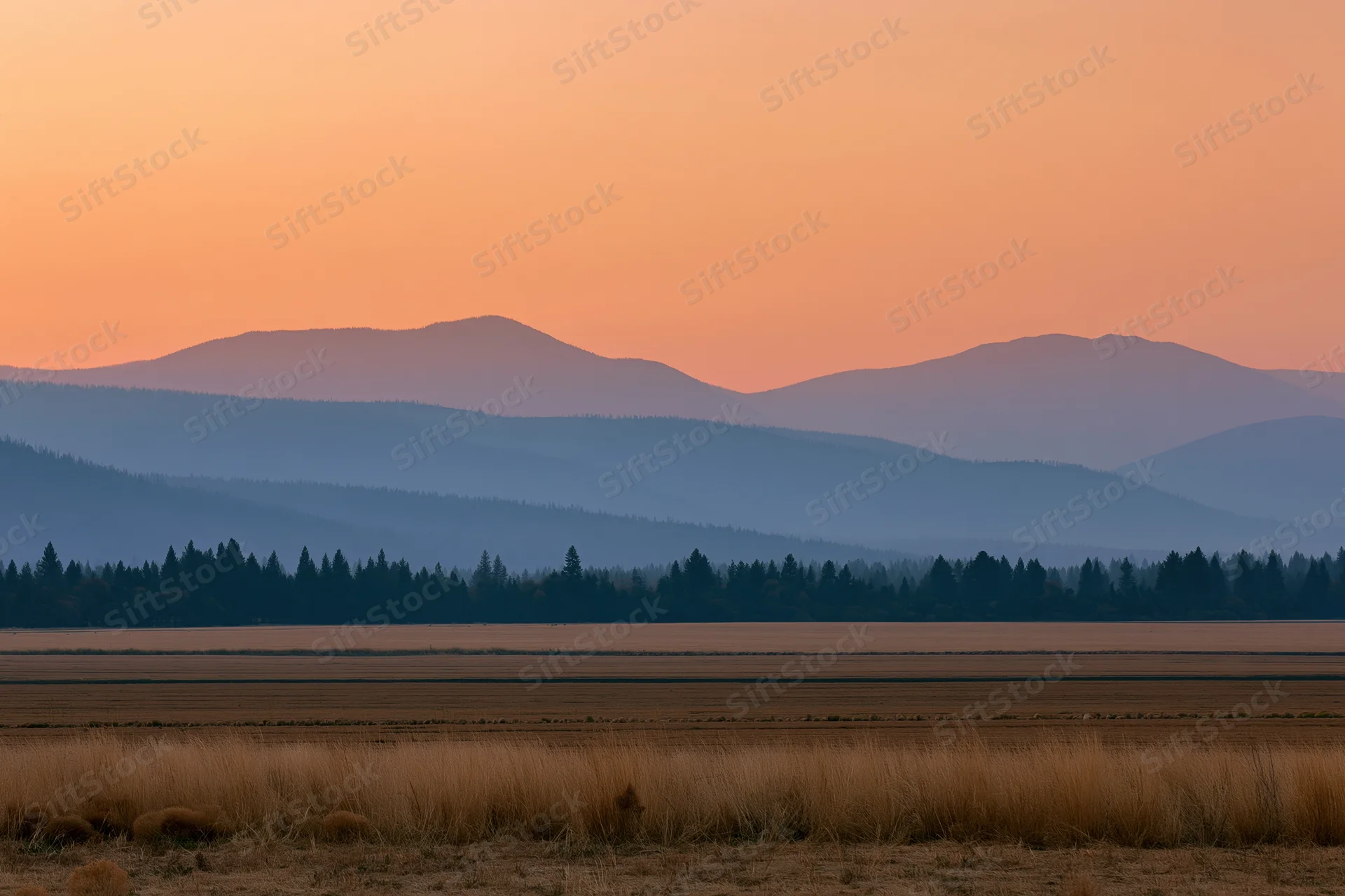 Wide view of flat agricultural fields stretching toward distant mountains at sunset