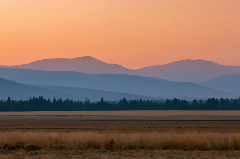 Wide view of flat agricultural fields stretching toward distant mountains at sunset