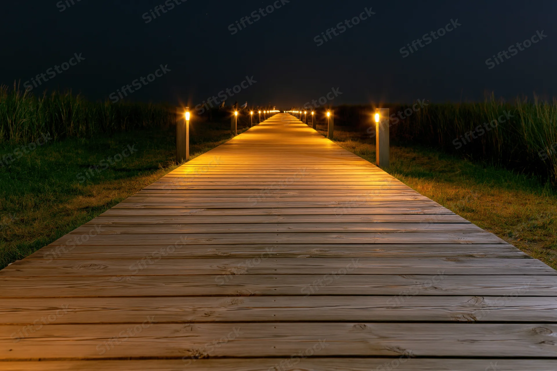 Wooden plank walkway illuminated by warm lights leading into dark night sky along grassy dunes
