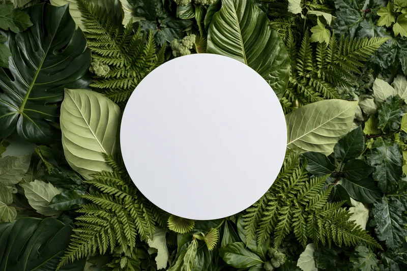 Blank white circular disc centered on a flat lay of layered green foliage and leaves