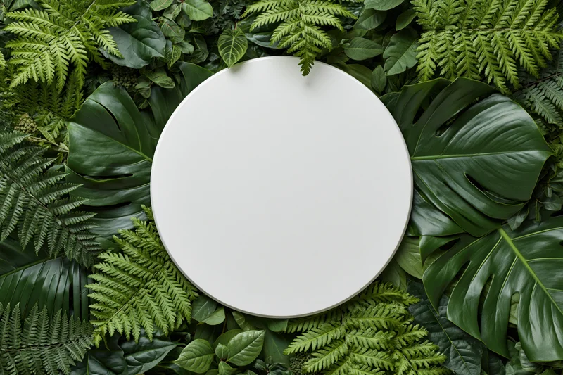 Blank white circular disc centered on a flat lay of layered green foliage including monstera and fern leaves
