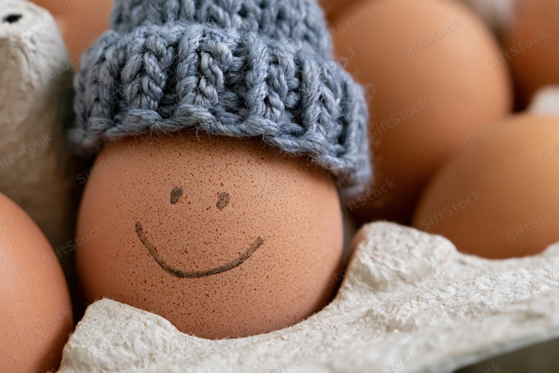 Brown egg with hand-drawn smiley face wearing knitted hat in egg carton