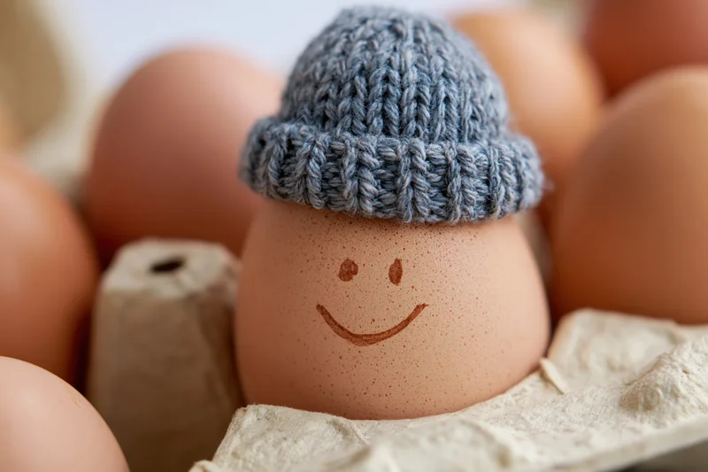 Brown egg with hand-drawn smiley face wearing knitted hat in cardboard carton