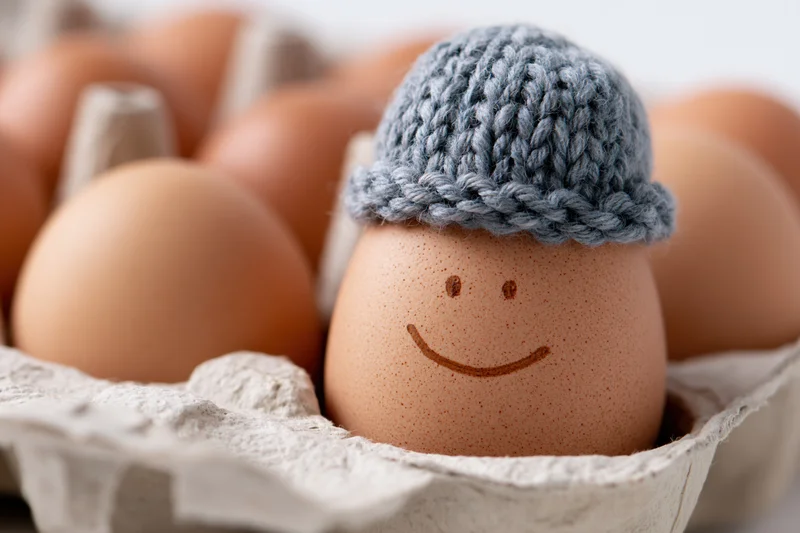 Brown egg with hand-drawn smiley face wearing knitted hat in cardboard carton
