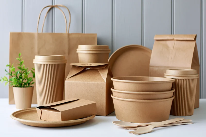 Kraft paper food packaging arranged on a white surface with a small potted plant
