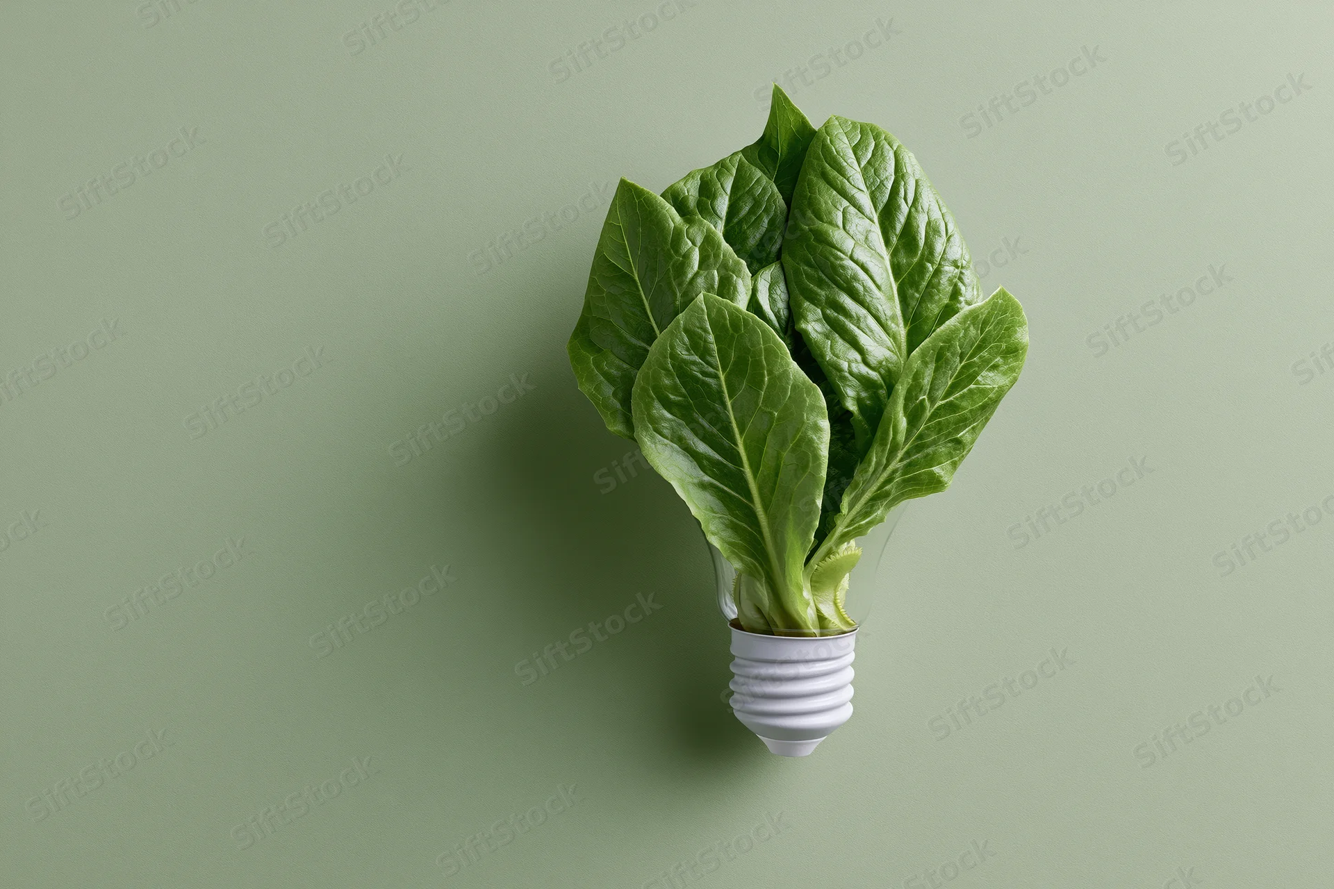 Lightbulb filled with fresh green lettuce leaves arranged to form a plant shape against a plain green background