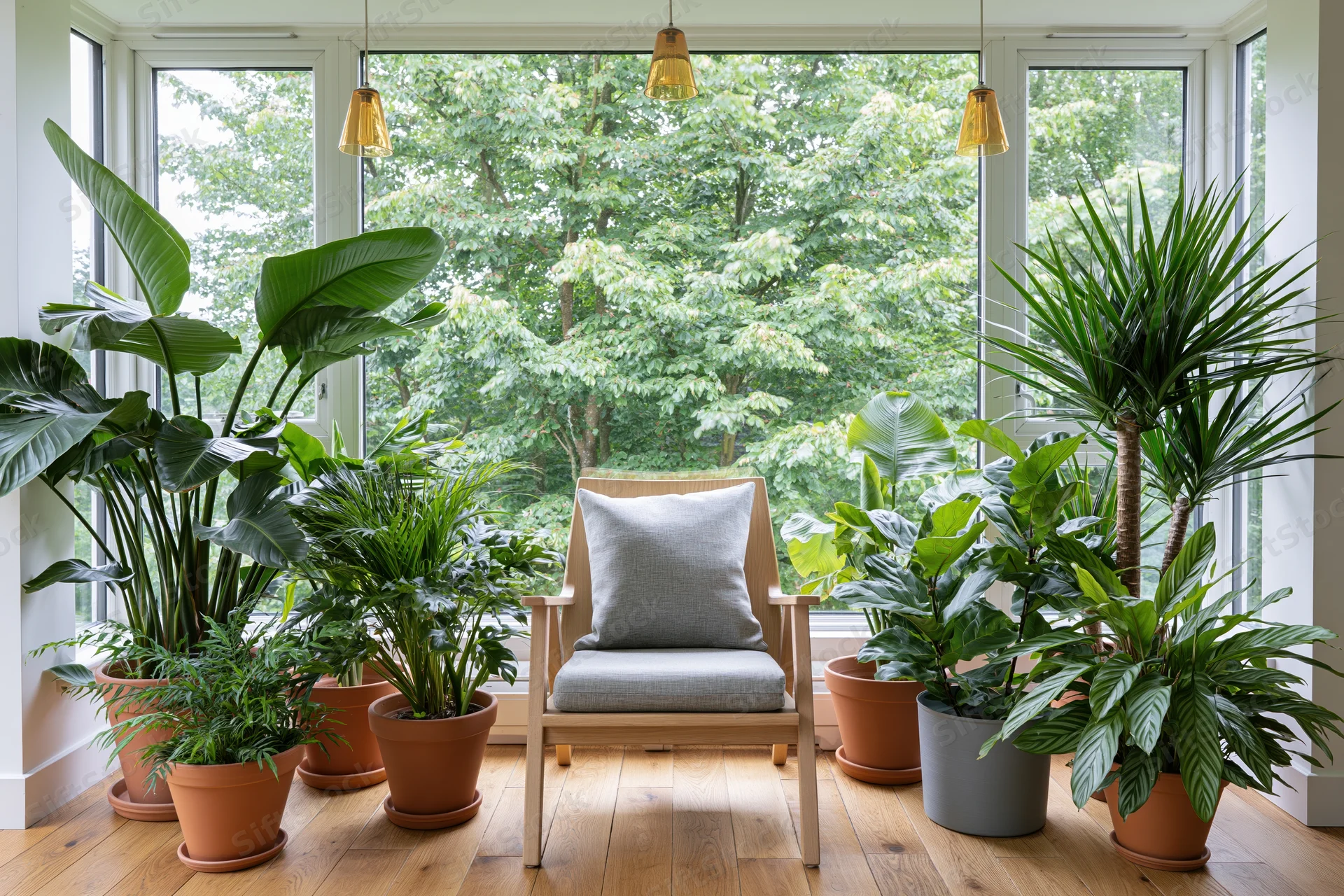 Light wood armchair with grey cushion surrounded by potted plants near large windows in a sunlit living room