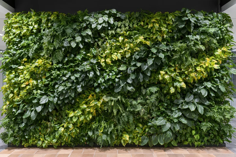 Living green wall installation covering an interior wall with dense tropical foliage and ferns in a modern indoor space