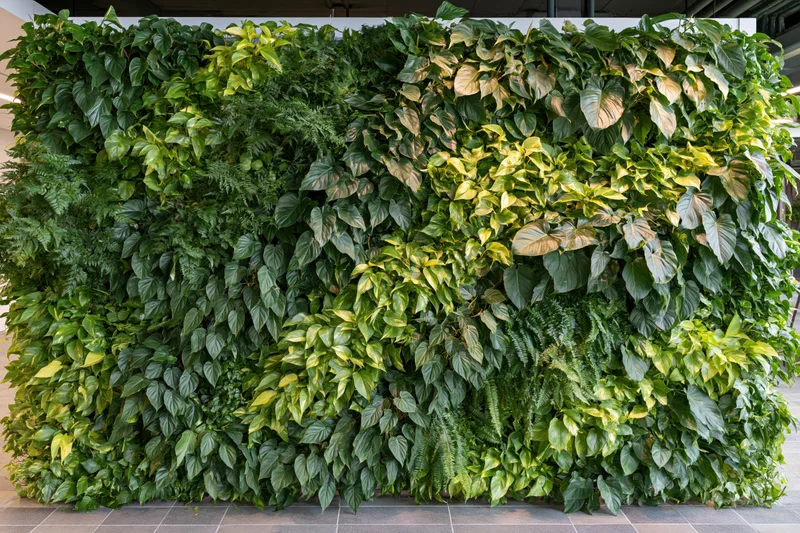Living green wall installation covering an interior wall with dense foliage and varied plant species