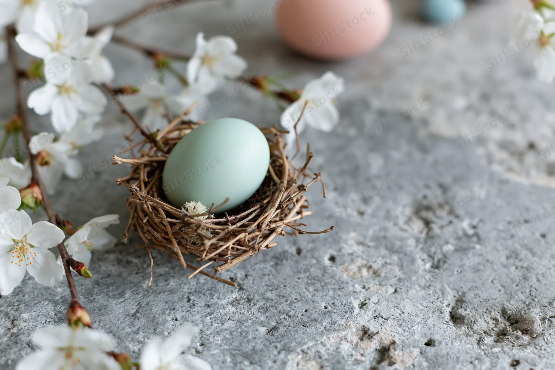 Pale mint easter egg in a small twig nest surrounded by white cherry blossoms on a gray textured surface